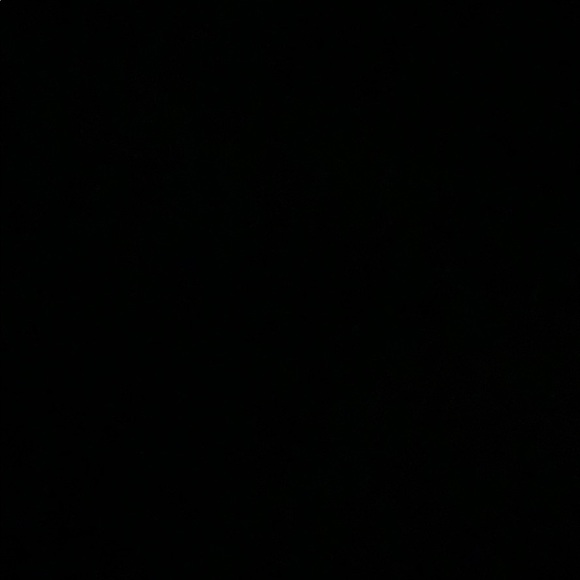 Meet your Posher, Gabbi - Picture 1 of 1